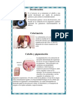 Decoloración Del Cabello y Teoria de La Piel