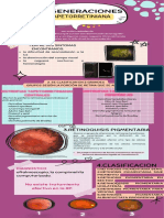 Infografía DT