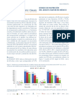 Fs Estado Nutricion