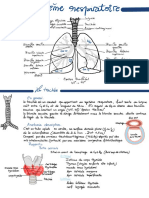 Systeme Respiratoire