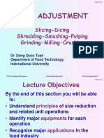 Lecture on Size Reduction in Food Processing