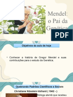 Slides 9 Ano Mendel