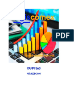 Rappi Sas: Análisis y Reportes Financieros