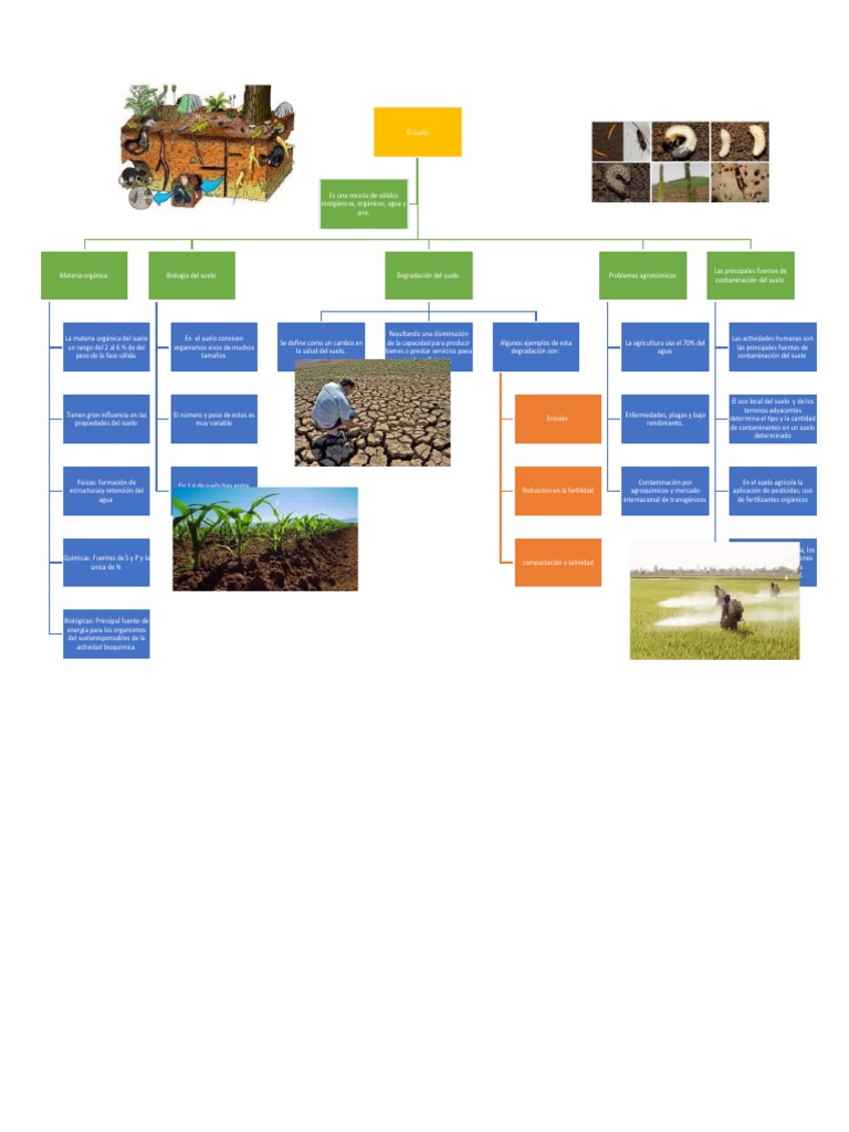 Mapa Conceptual El Suelo Pdf Suelo Contaminación