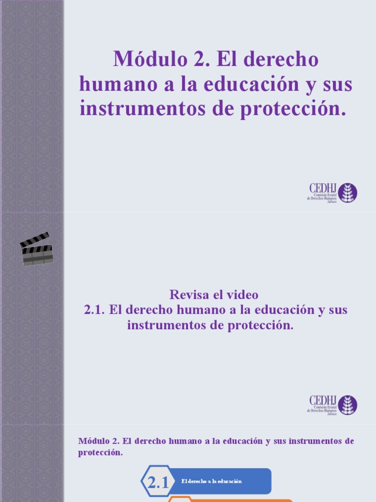 Protección del Derecho a la Educación | PDF | Derechos humanos ...