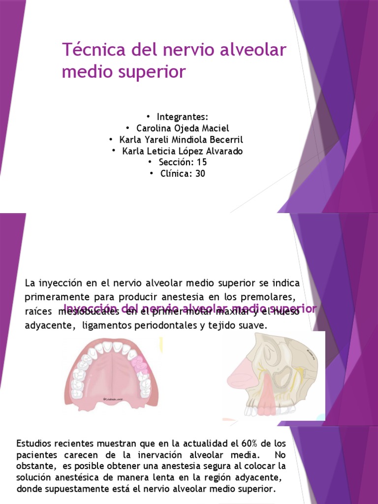 Tecnica Alveolar Media PDF Inyección (medicina) Especialidades
