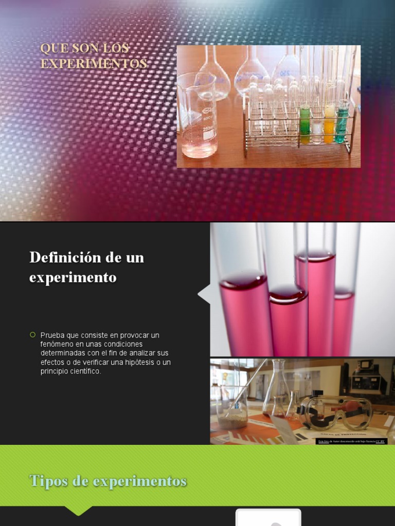Que Son Los Experimentos 1 | PDF | Experimentar | Fotosíntesis