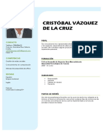 Currículum Vitae Cristobal Vazquez