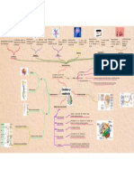Cerebro y Ocnudcta Mapa 2 PDF
