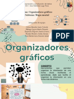 Organizadores Graficos