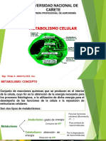 Semana IX METABOLISMO CELULAR Biologia 2020