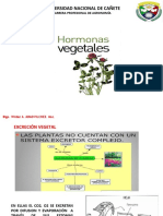 Semana X Hormonas Vegetales