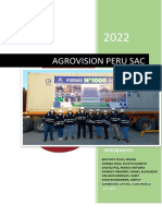 Análisis organizacional de Agrovisión Perú SAC