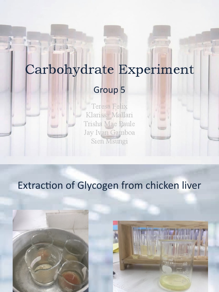 Carbohydrate Experiment PDF Starch Nutrition