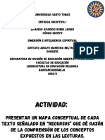 Mapa Conceptual (Entrega 1)