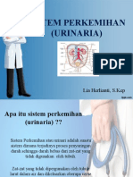 Sistem Perkemihan 1