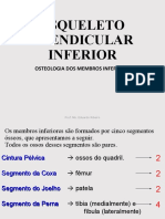 Anatomia I - Apendicular Inferior Osteologia