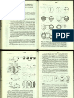 Desarrollo_Segmentacion Morfogenesis y diferenciacion