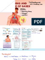 Breathing and Exchange of Gases (OneNote