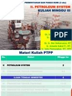 2 Petroleum System