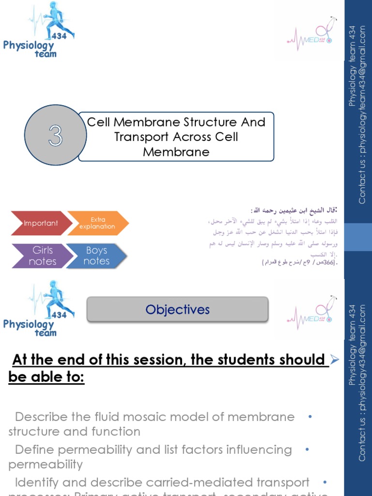 CELL MEMBRANE STRUCTURE AND FUNCTIONS PDF visual data 2