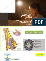 Patologi Laktasi: Dr.. Bobby Indra Utama SP - OG (K)