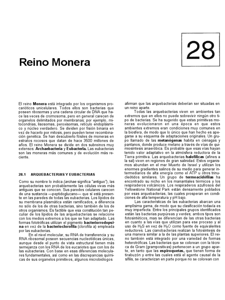Introducción al Reino Monera | PDF | Las bacterias | Archaea
