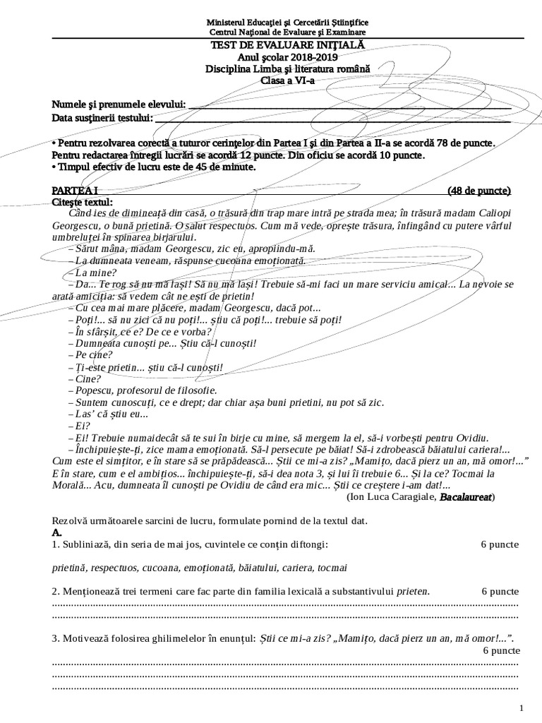 Clasa 6 Test Initial | PDF