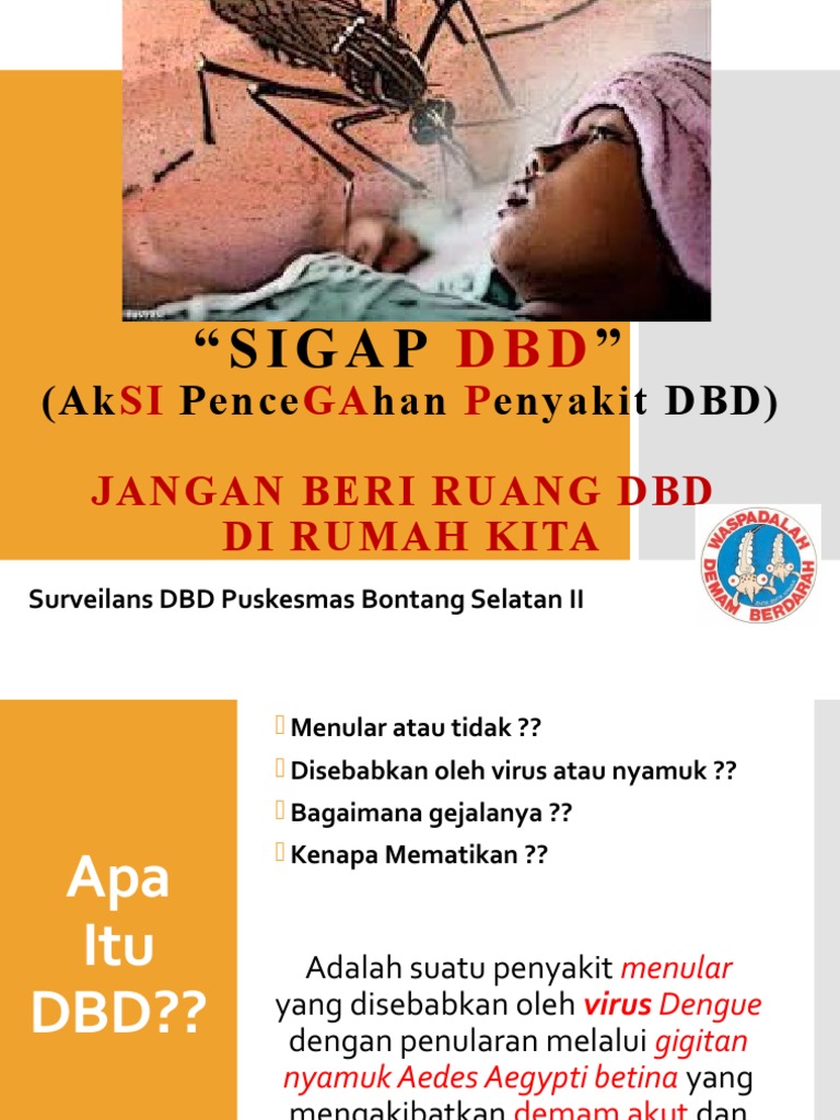 Penyuluhan DBD Update | PDF