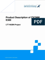 2 Product Description of ZXONM E300