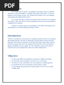 PBL Terrarium Report