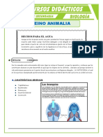 Phylum Cordados y Los Peces para Quinto de Secundaria