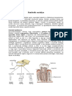 7.biolgia Emlsk Osztlya