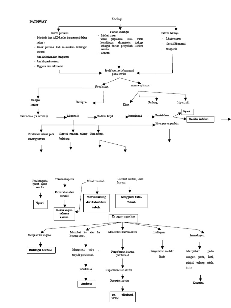 Pathway KARSINOMA SERVIKS