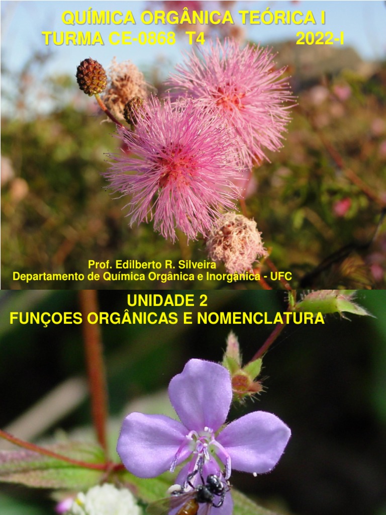 Edil Q O Teórica Aula Unidade 2 PDF Amina Éter