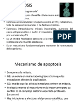 Clasificaci N-De-bacterias 1