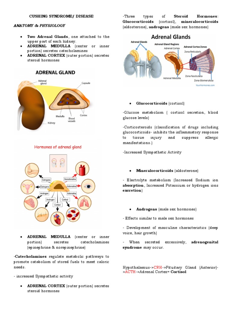 CUSHING SYNDROME PDF Adrenal Gland Hypothyroidism