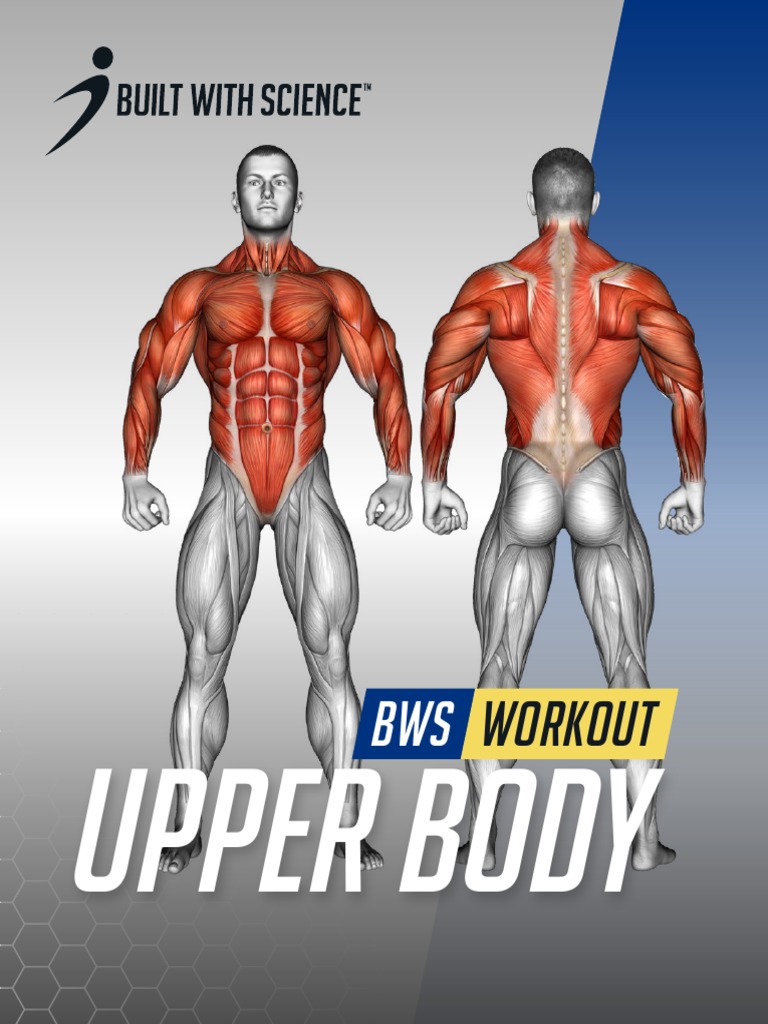 Built With Science UPPER WORKOUT PDF | PDF | Elbow | Human Anatomy