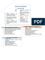 Diagnósticos para Notas de Enfermeria