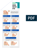 Guía de Contenido de Parto