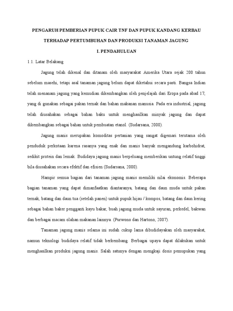 Tanaman Jagung Manis