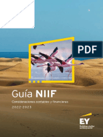 Guia NIIF 2022-2023