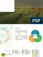 Metas de La Agenda 2030