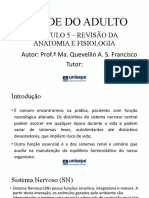 Revisão da anatomia e fisiologia do sistema nervoso e trato urinário