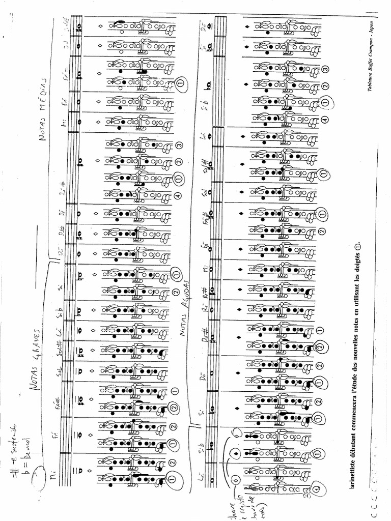 For Beginners Jean Noel Crocq (Arrastados) PDF