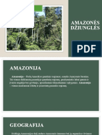 Amazonės Džiunglės