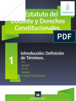 El Estatuto Del Docente y Derechos Constitucionales.