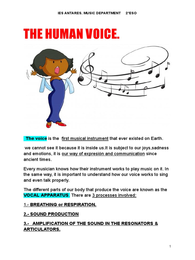 T.3 The Human Voice PDF Singing Breathing