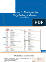 Protozoarios Flagelados y Ciliados