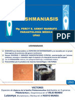 TEORIA LEISHMANIA SEM 4 PARASITOLOGIA (1)